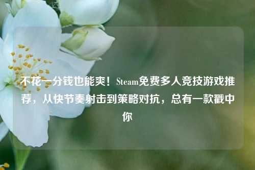 不花一分钱也能爽！Steam免费多人竞技游戏推荐，从快节奏射击到策略对抗，总有一款戳中你