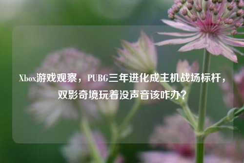 Xbox游戏观察，PUBG三年进化成主机战场标杆，双影奇境玩着没声音该咋办？
