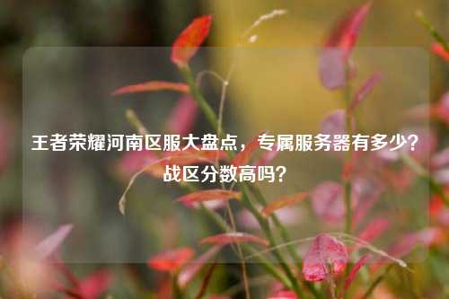 王者荣耀河南区服大盘点，专属服务器有多少？战区分数高吗？