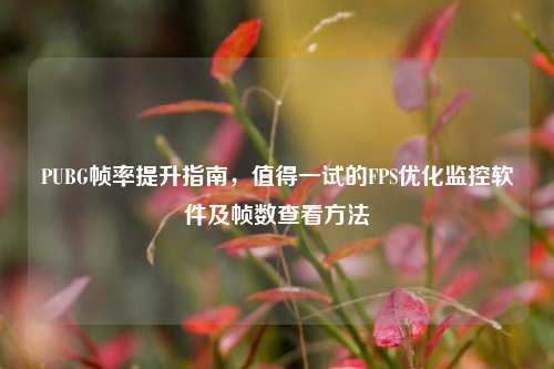 PUBG帧率提升指南，值得一试的FPS优化监控软件及帧数查看 *** 
