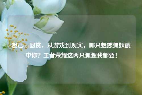 妲己cos图赏，从游戏到现实，哪只魅惑狐妖戳中你？王者荣耀这两只狐狸我都要！