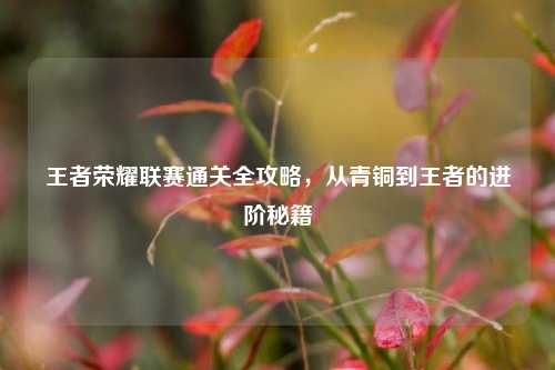 王者荣耀联赛通关全攻略，从青铜到王者的进阶秘籍