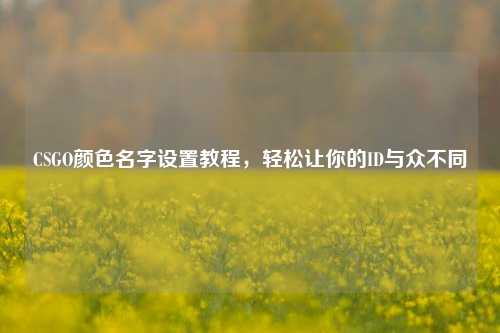 CSGO颜色名字设置教程，轻松让你的ID与众不同