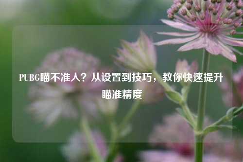 PUBG瞄不准人？从设置到技巧，教你快速提升瞄准精度
