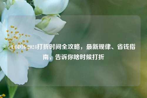 COD16 2024打折时间全攻略，最新规律、省钱指南，告诉你啥时候打折