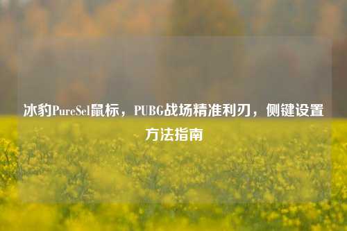 冰豹PureSel鼠标，PUBG战场精准利刃，侧键设置 *** 指南