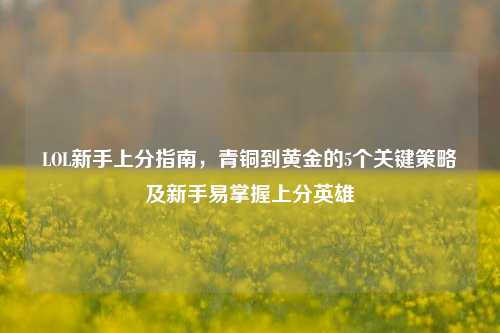 LOL新手上分指南，青铜到黄金的5个关键策略及新手易掌握上分英雄