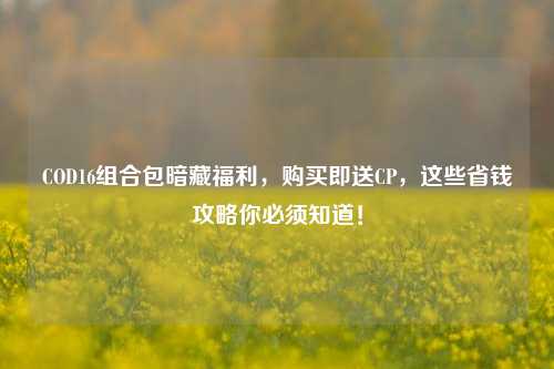 COD16组合包暗藏福利，购买即送CP，这些省钱攻略你必须知道！