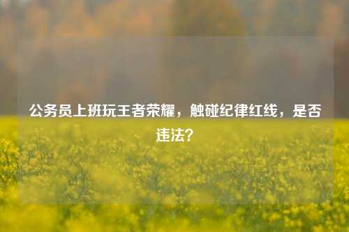 公务员上班玩王者荣耀，触碰纪律红线，是否违法？