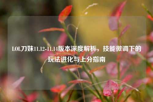 LOL刀妹11.12-11.14版本深度解析，技能微调下的玩法进化与上分指南