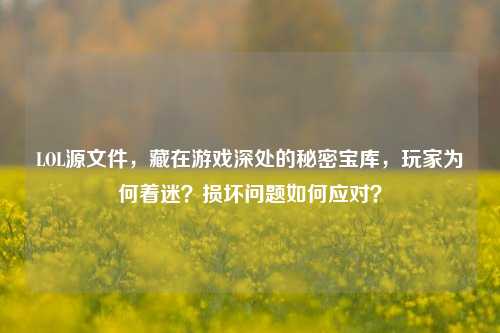 LOL源文件，藏在游戏深处的秘密宝库，玩家为何着迷？损坏问题如何应对？