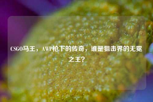 CSGO马王，AWP枪下的传奇，谁是狙击界的无冕之王？