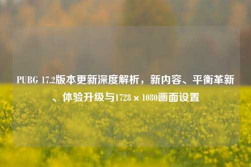 PUBG 17.2版本更新深度解析，新内容、平衡革新、体验升级与1728×1080画面设置
