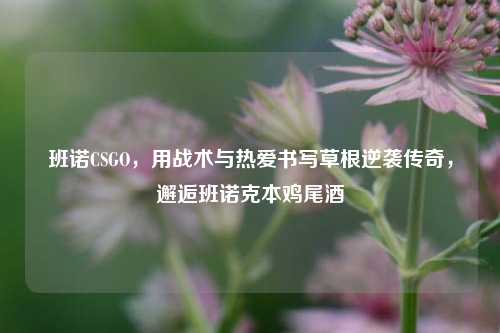 班诺CSGO，用战术与热爱书写草根逆袭传奇，邂逅班诺克本鸡尾酒