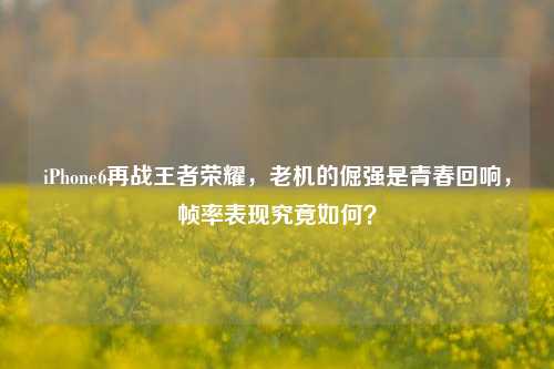 iPhone6再战王者荣耀，老机的倔强是青春回响，帧率表现究竟如何？