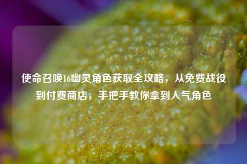 使命召唤16幽灵角色获取全攻略，从免费战役到付费商店，手把手教你拿到人气角色