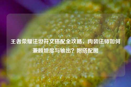 王者荣耀法坦符文搭配全攻略,肉装法师如何兼顾坦度与输出?附搭配图