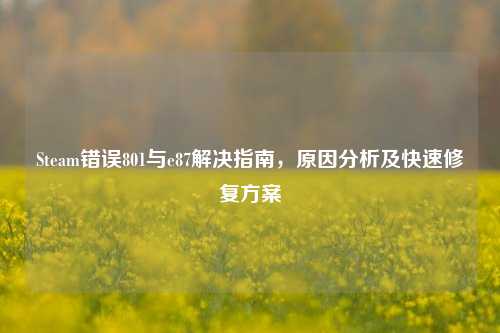 Steam错误801与e87解决指南，原因分析及快速修复方案