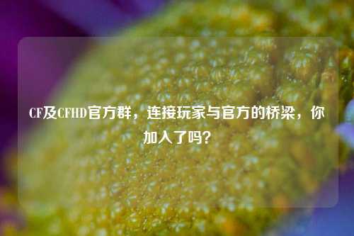 CF及CFHD官方群,连接玩家与官方的桥梁,你加入了吗?