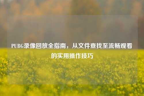 PUBG录像回放全指南，从文件查找至流畅观看的实用操作技巧