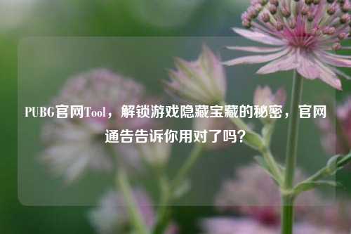 PUBG官网Tool,解锁游戏隐藏宝藏的秘密,官网通告告诉你用对了吗?