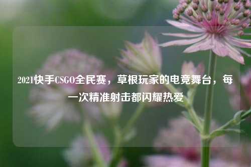 2021快手CSGO全民赛，草根玩家的电竞舞台，每一次精准射击都闪耀热爱