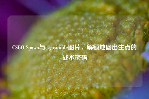 CSGO Spawn与csgosimple图片，解锁地图出生点的战术密码