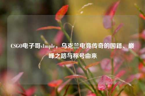 CSGO电子哥s1mple,乌克兰电竞传奇的国籍、巅峰之路与称号由来