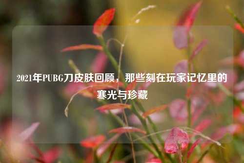 2021年PUBG刀皮肤回顾,那些刻在玩家记忆里的寒光与珍藏