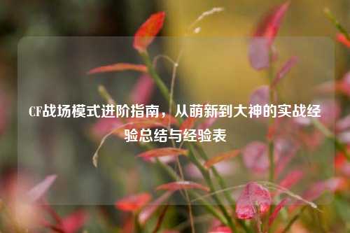 CF战场模式进阶指南，从萌新到大神的实战经验总结与经验表