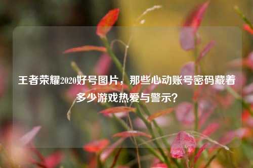 王者荣耀2020好号图片，那些心动账号密码藏着多少游戏热爱与警示？