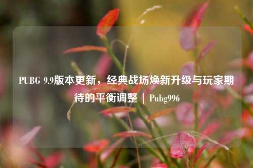 PUBG 9.9版本更新,经典战场焕新升级与玩家期待的平衡调整 | Pubg996