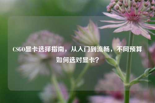 CSGO显卡选择指南，从入门到流畅，不同预算如何选对显卡？
