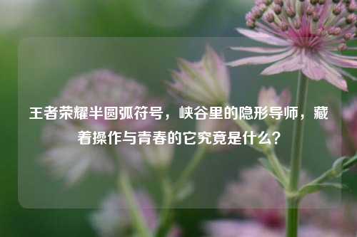 王者荣耀半圆弧符号，峡谷里的隐形导师，藏着操作与青春的它究竟是什么？