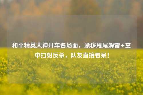和平精英大神开车名场面,漂移甩尾躲雷+空中扫射反杀,队友直接看呆!