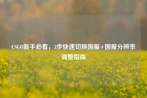 CSGO新手必看,3步快速切换国服+国服分辨率调整指南