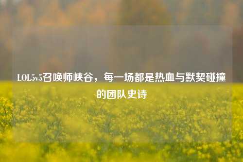 LOL5v5召唤师峡谷,每一场都是热血与默契碰撞的团队史诗