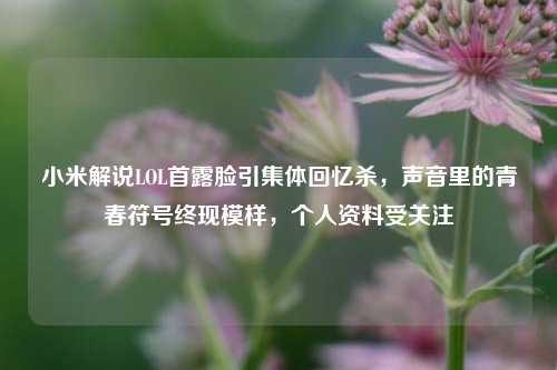 小米解说LOL首露脸引集体回忆杀,声音里的青春符号终现模样,个人资料受关注