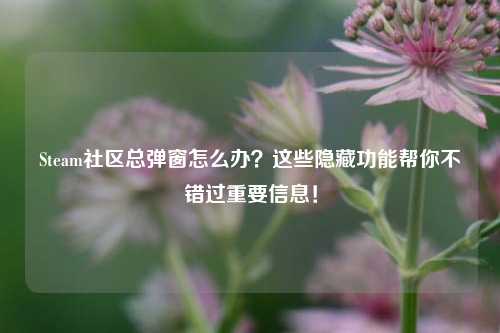 Steam社区总弹窗怎么办?这些隐藏功能帮你不错过重要信息!
