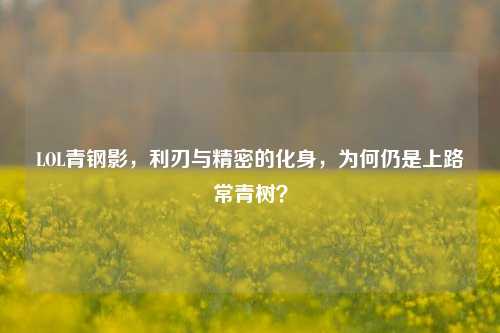 LOL青钢影,利刃与精密的化身,为何仍是上路常青树?