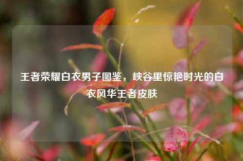 王者荣耀白衣男子图鉴,峡谷里惊艳时光的白衣风华王者皮肤