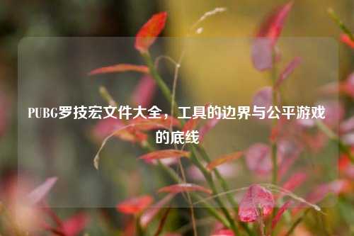 PUBG罗技宏文件大全，工具的边界与公平游戏的底线