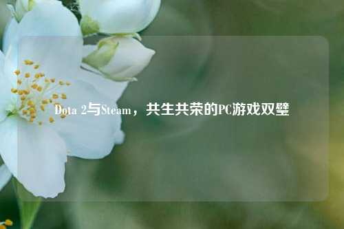 Dota 2与Steam,共生共荣的PC游戏双璧