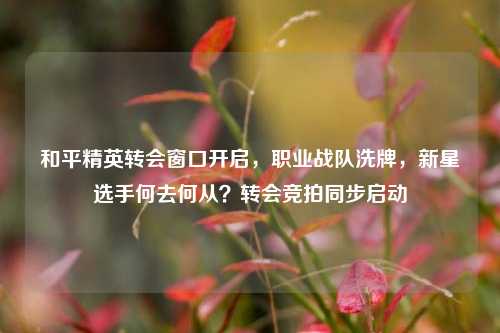 和平精英转会窗口开启,职业战队洗牌,新星选手何去何从?转会竞拍同步启动