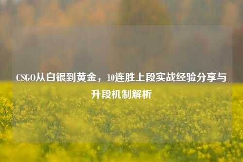 CSGO从白银到黄金,10连胜上段实战经验分享与升段机制解析