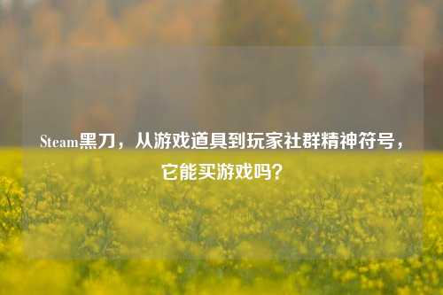 Steam黑刀,从游戏道具到玩家社群精神符号,它能买游戏吗?