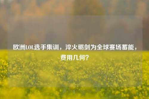 欧洲LOL选手集训,淬火砺剑为全球赛场蓄能,费用几何?