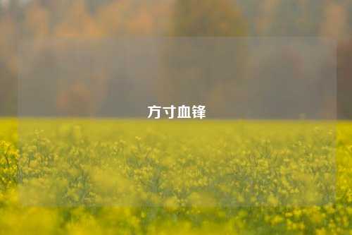 方寸血锋