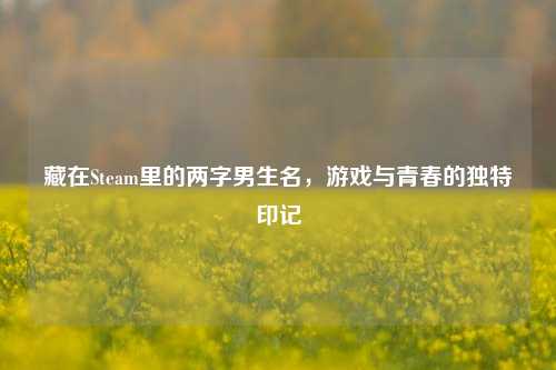 藏在Steam里的两字男生名,游戏与青春的独特印记