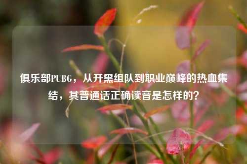 俱乐部PUBG,从开黑组队到职业巅峰的热血集结,其普通话正确读音是怎样的?